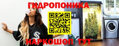 сатива Заволжье