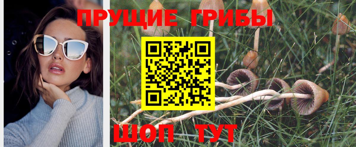 Псилоцибиновые грибы Cubensis Кумертау